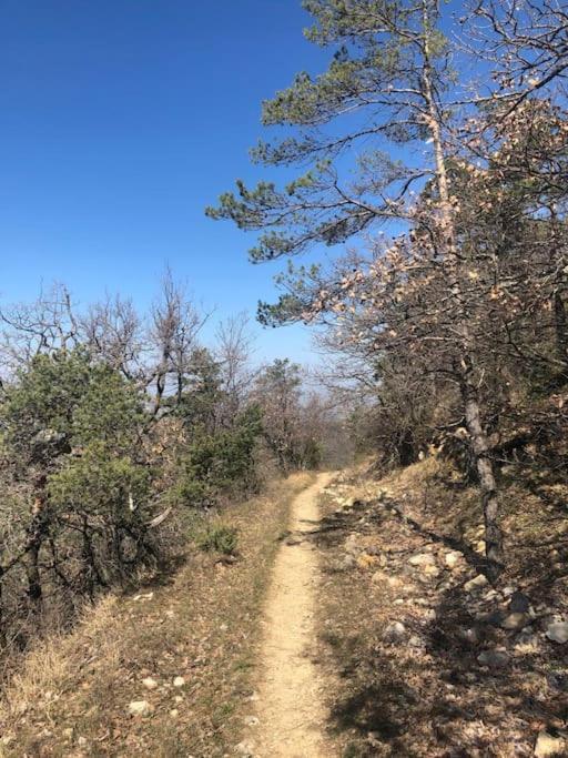 Charmante Bergerie En Drome A 500M D'Altitude Combovin エクステリア 写真